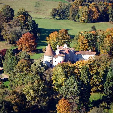 Saint-Dier-dʼAuvergne Chateau Des Martinanches المظهر الخارجي الصورة