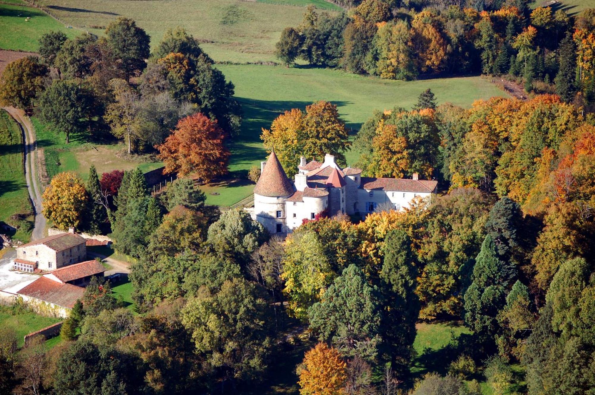 Saint-Dier-dʼAuvergne Chateau Des Martinanches المظهر الخارجي الصورة