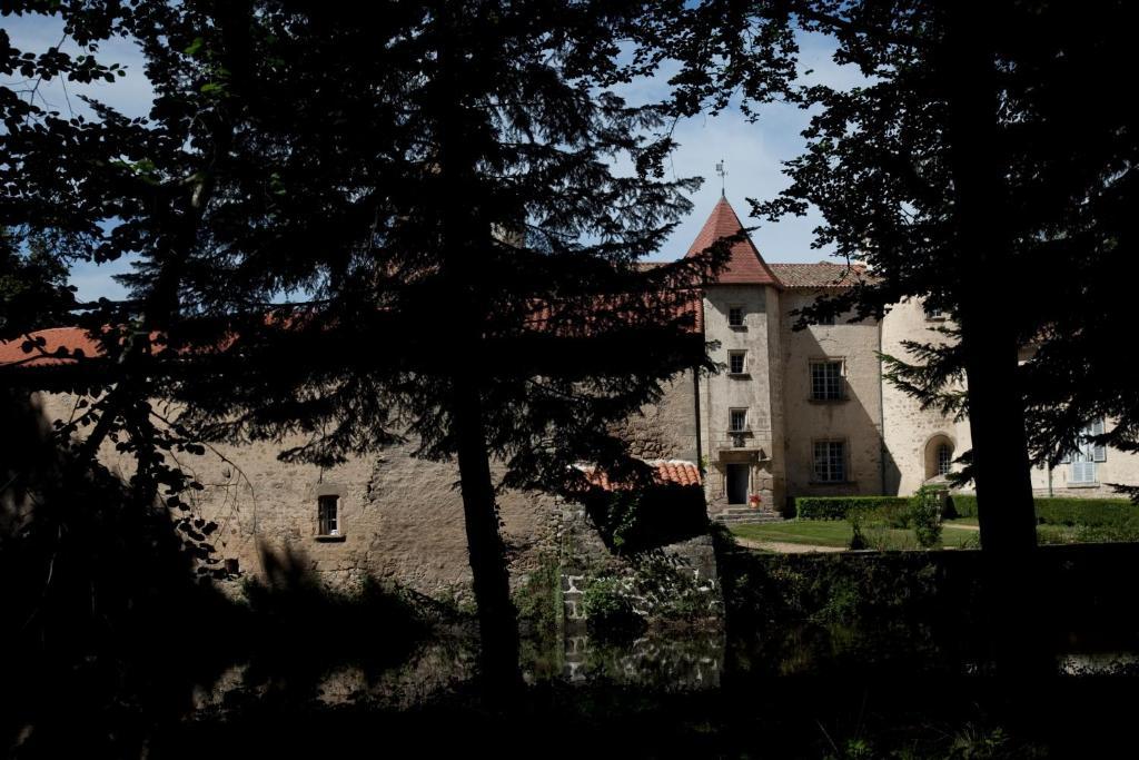 Saint-Dier-dʼAuvergne Chateau Des Martinanches المظهر الخارجي الصورة